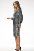 Evening dress model 204252